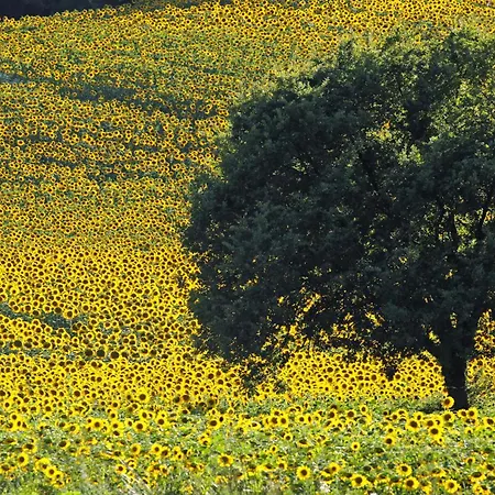 Holiday Fontanile Lamoli Di Borgo Pace