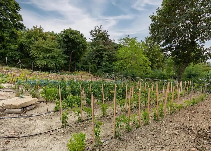 Holiday home Holiday Fontanile Lamoli Di Borgo Pace